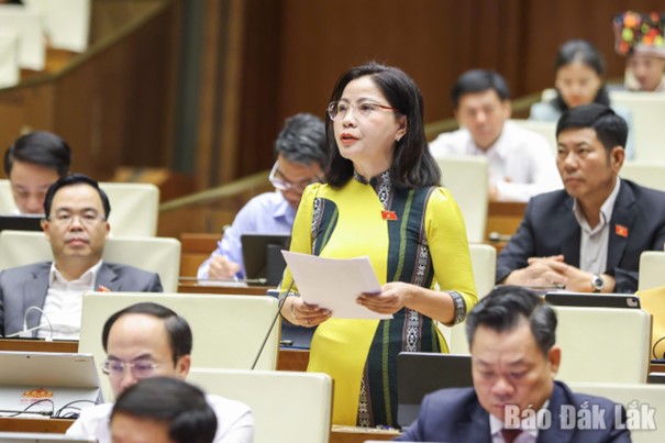 Cần cơ chế đặc thù tháo gỡ “nút thắt” đất nông, lâm trường